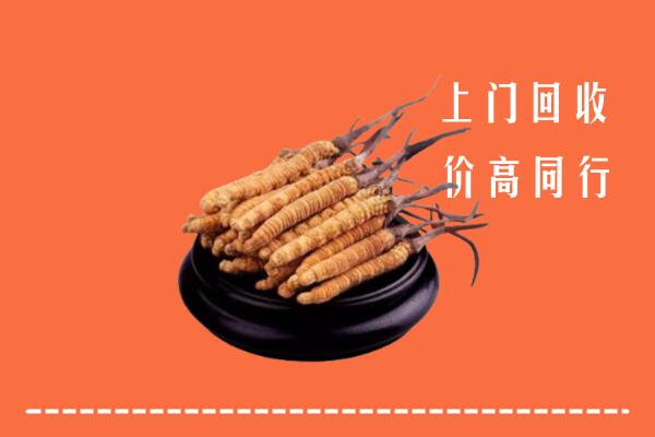 高价求购：桂林市叠彩区回收散虫草