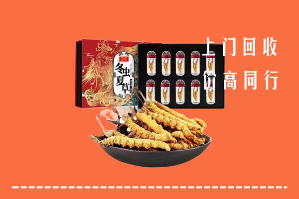 桂林市叠彩区回收虫草